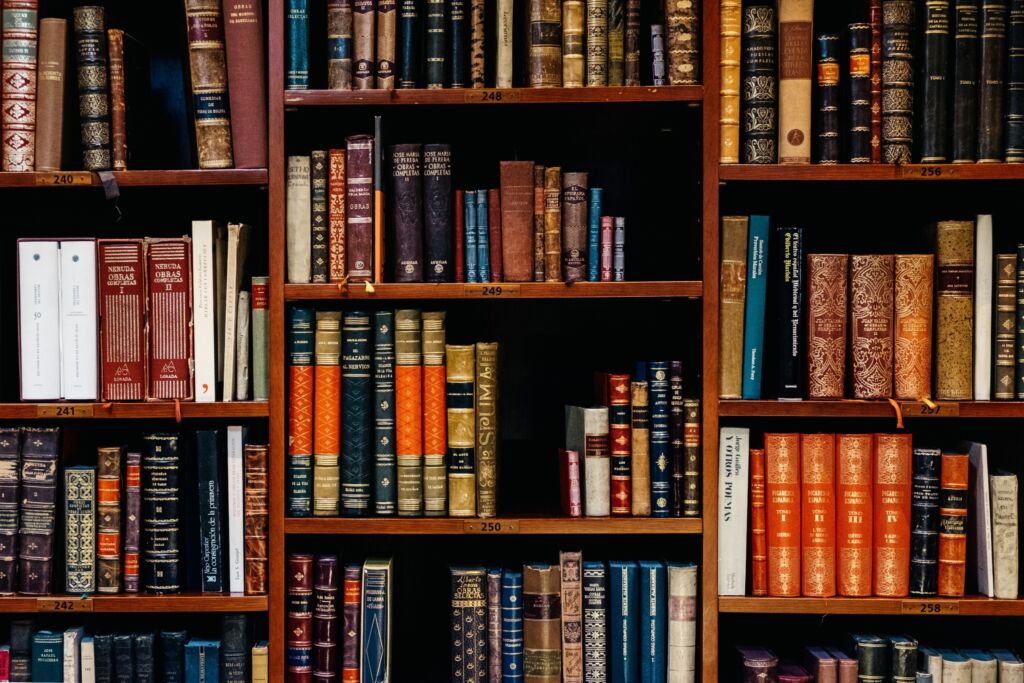 inaki-del-olmo-NIJuEQw0RKg-unsplash inaki-del-olmo-NIJuEQw0RKg-unsplash