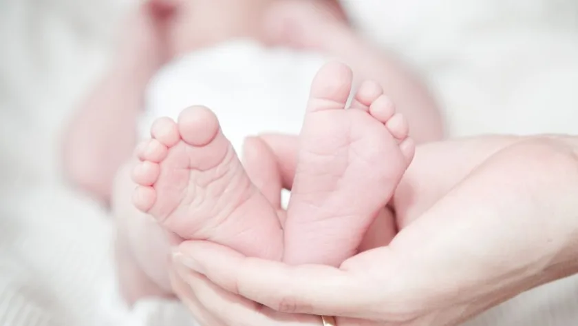 herança neto menor de idade